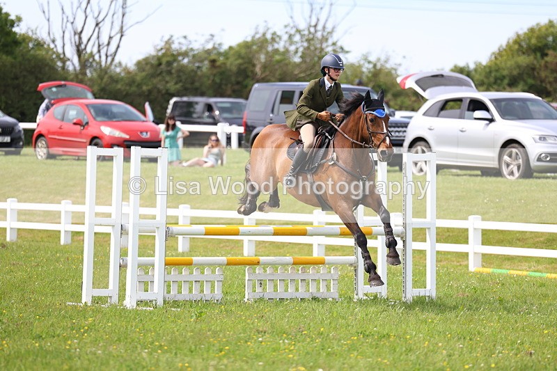 3E7A1879 - Class 13: Senior British Novice/90cm open