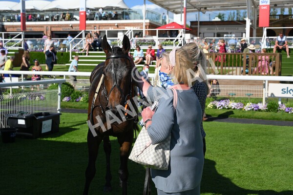  - Race 6 4.50pm The Ice Co supporting Macmillan Stakes