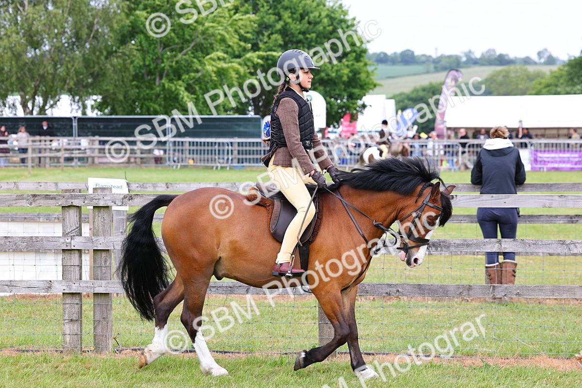 SBM_08501 - Class 42-43 - LIHS BSPS Heritage Working Sports Pony