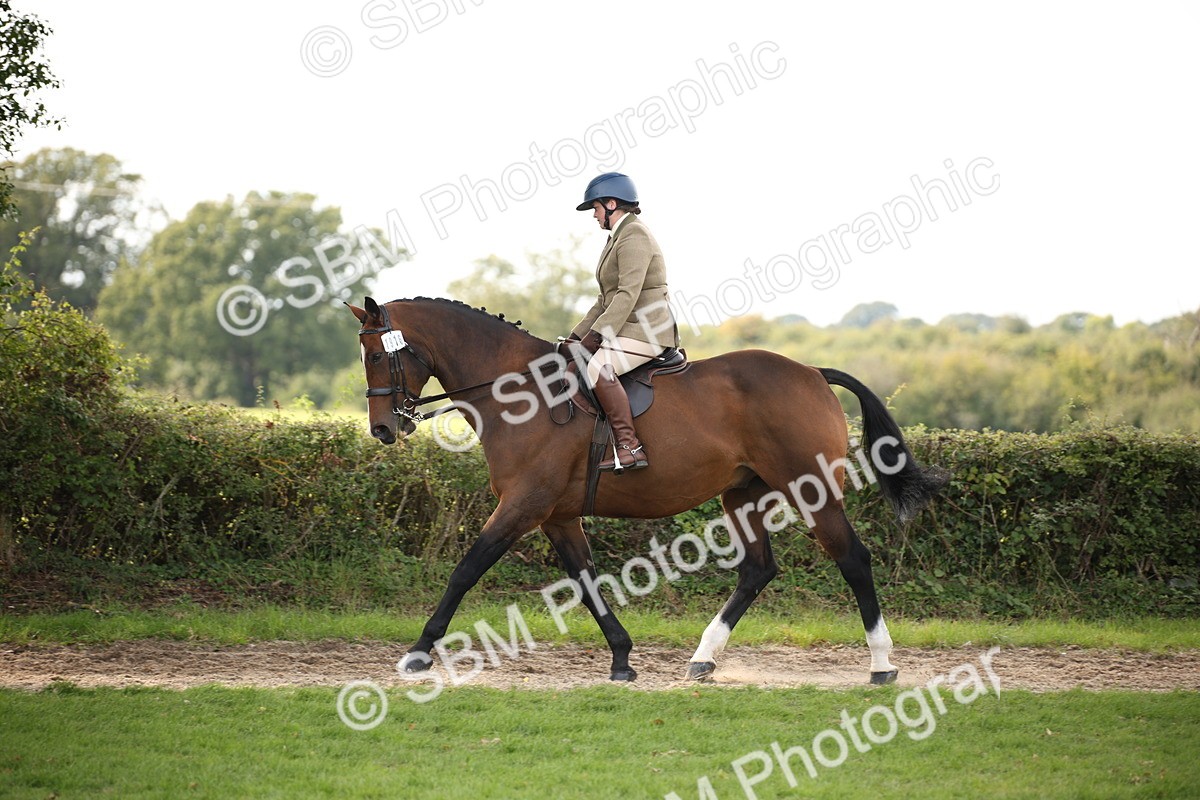 SBM_70388 - S66 - Hunter Ridden
