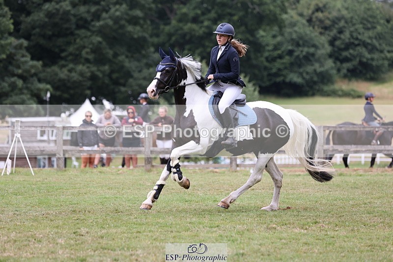 250706A-094329-16868 - Cls 51 85cm Amateur Qualifier