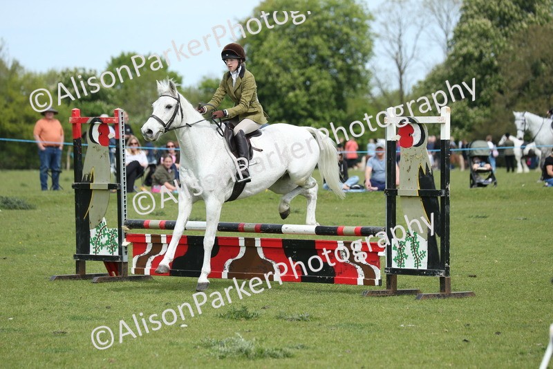 20260426-2072 - Class 15 - Absolute Novice 70cm