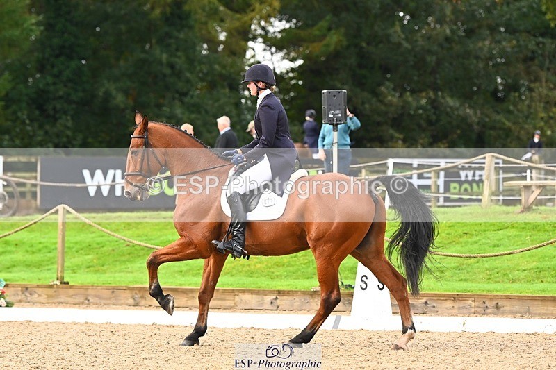 231021-093655-12861 - 327-ENSOR.VAN.HET.HELLEHOF-Francesca.Swallow-DR