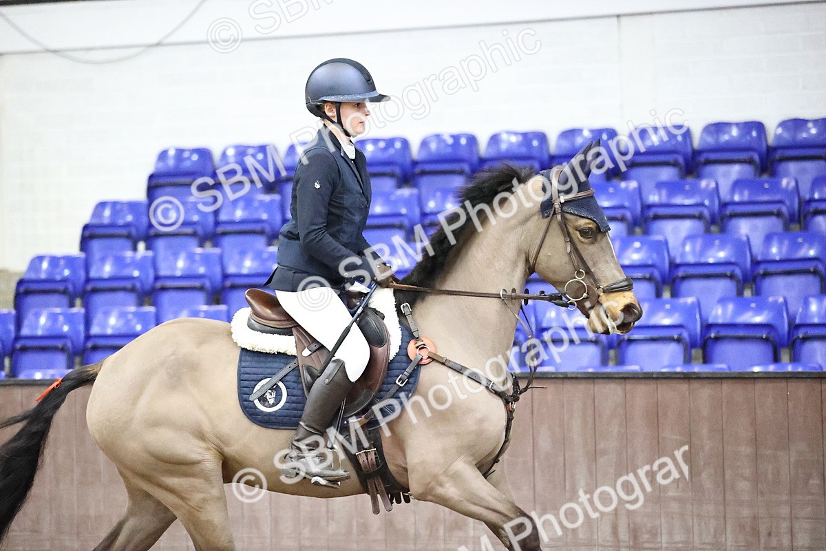 SBM_000461 - Class 2 - Pony British Novice - 80cm