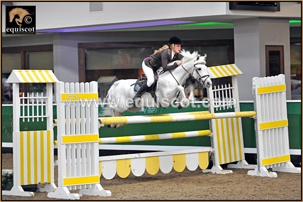 equiscot 5955 TAYLOR WARD GREY PALACE - 2012 PRIZEWINNERS INDIVIDUAL PICS