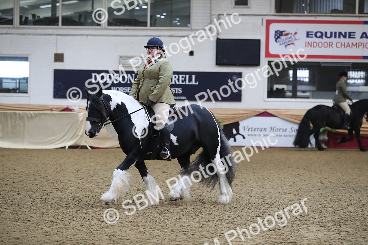 SBM_10408 - Class 102 Equitation (best rider) Adult