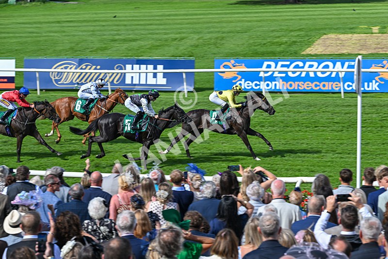 050926-Race 2-This Moment-2803 - Race 2 2.05pm JW4X4 Northallerton Nursery Handicap