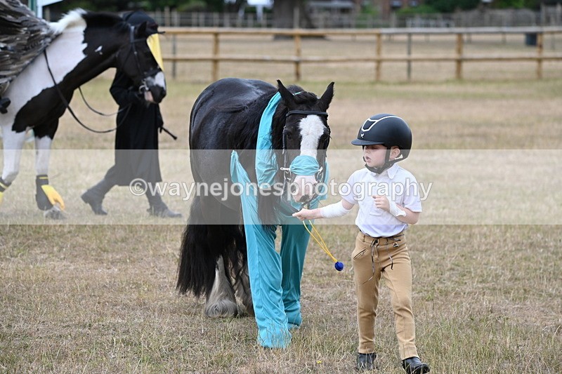 WJ6_8782 - Class 11 Fancy Dress