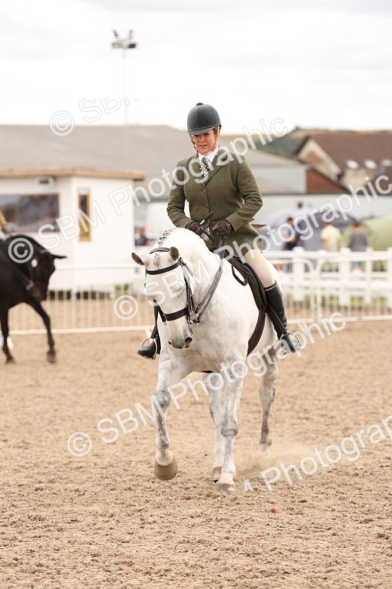 SBM_16492 - Class 212 - Ridden Hunter - Small