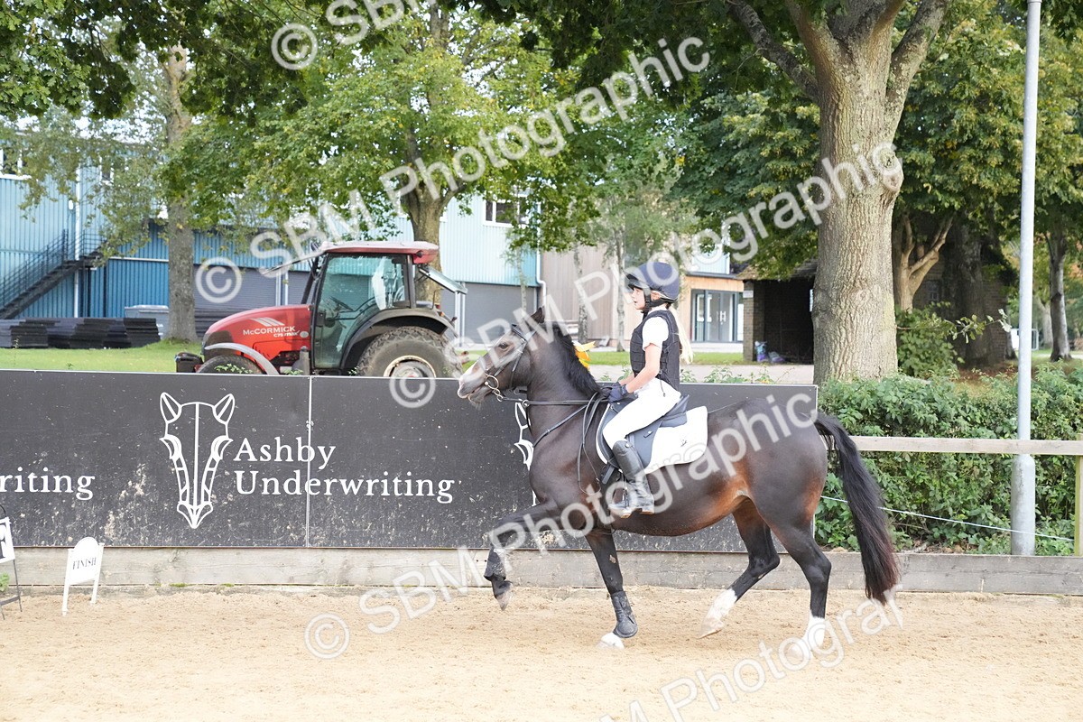 SBM_74968 - J4 - Mini Tour Junior Pony 45cm Championship