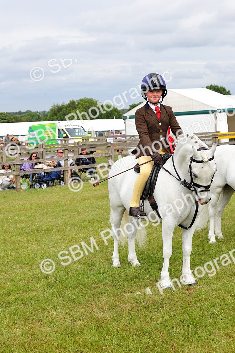 SBM_09651 - Class 44-45 - LIHS BSPS Open Nursery and Cradle Stakes