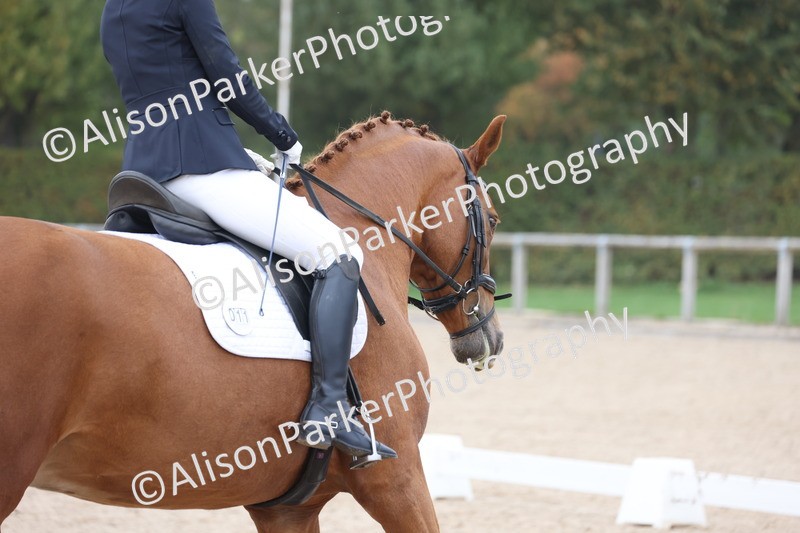 20251012-0668 - Class 5 - Elementary 5