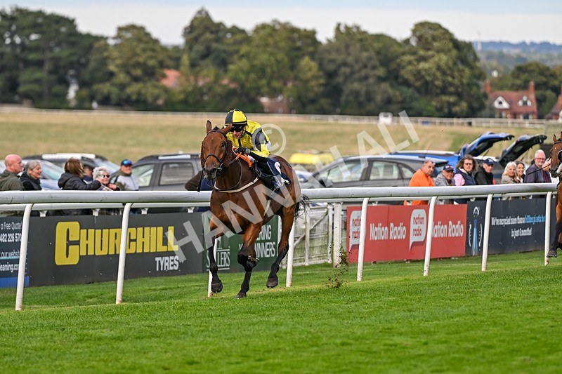 160926-Race 8-Evelyns Phoenix-2181 - Race 8 5.50pm Hurn Handicap (Div II)