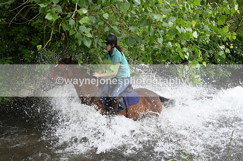 WJ7_2537 - Camera 2 Water Crossing