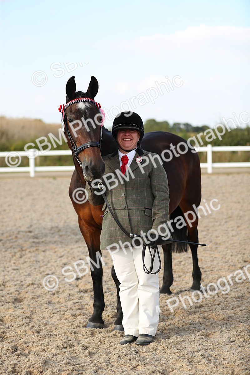 SBM_08697 - Class 28 - IH Veteran Horse