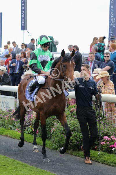 yr19082022r3-16 - Race 3 3.00pm Al Basti Equiworld Dubai Gimcrack Stakes