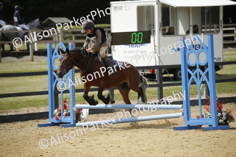 20250622-4082 - 50cm