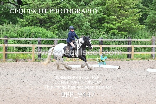 BPP_9447 - 45 L DENHOLM