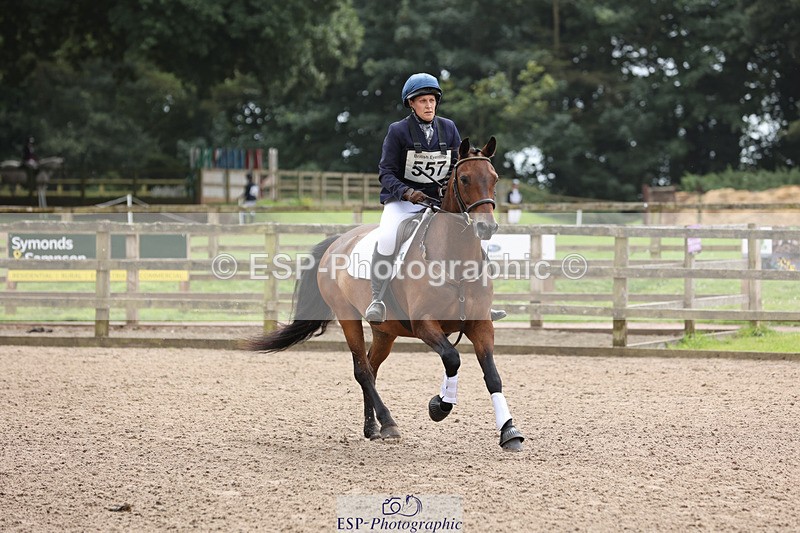 240804-134648-14445 - 557-Jodi_Cameron-WILLOWAY_HANDSOME_HARRY