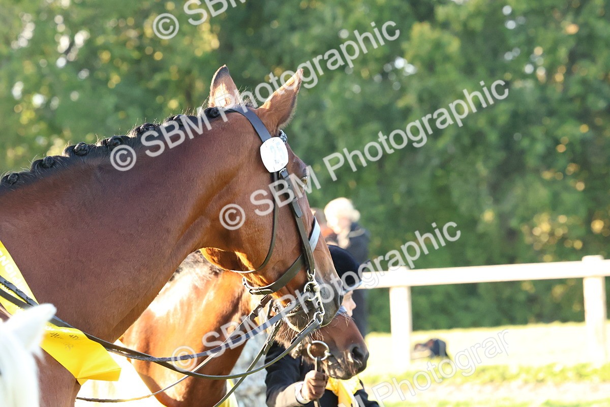 SBM_53180 - Veteran Supreme Championship