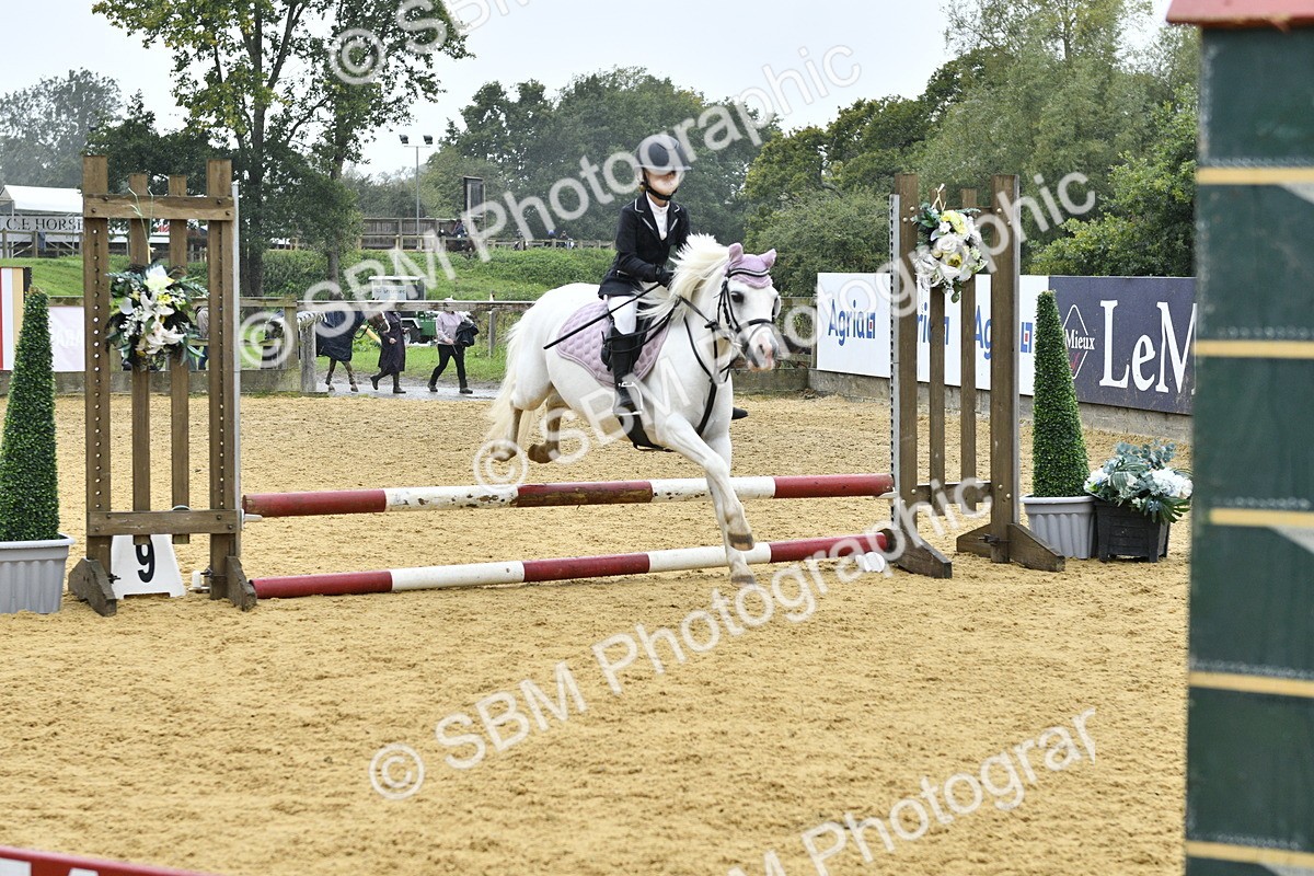 SBM_70905 - J3 - Mini Tour Junior Pony 40cm championship