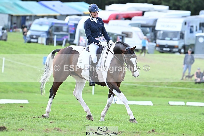 231020-145152-11003 - 669-FOXRIDGE.HIGH.JINX-Claire.Deuten-DR