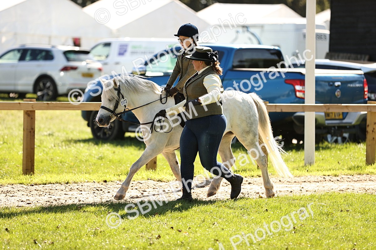 SBM_19307 - S3 - TSR Ridden Pony Showing