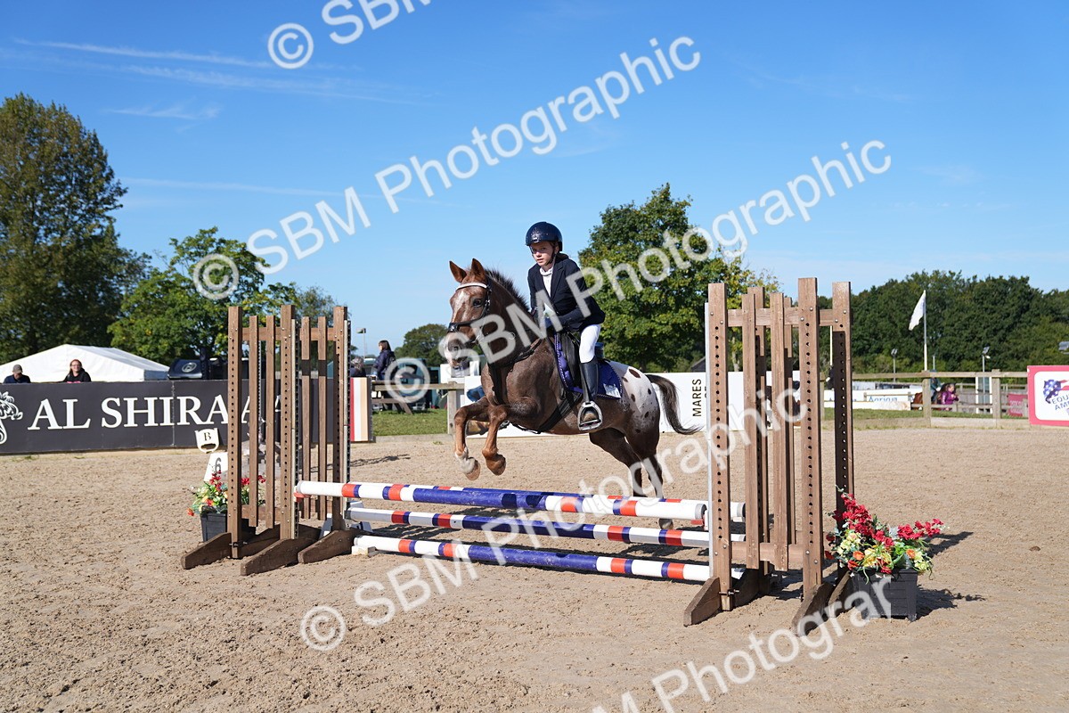 SBM_17588 - J58 - Clear Round 60cm