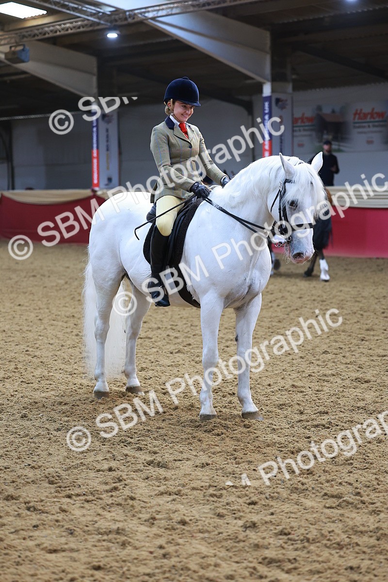 SBM_07669 - Class 101 - HOYS Veteran Qualifier - Ridden Diamond