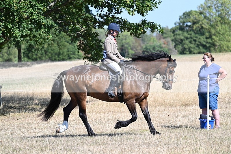WJ7_3895 - Class 9 Mountain & Moorland Ridden