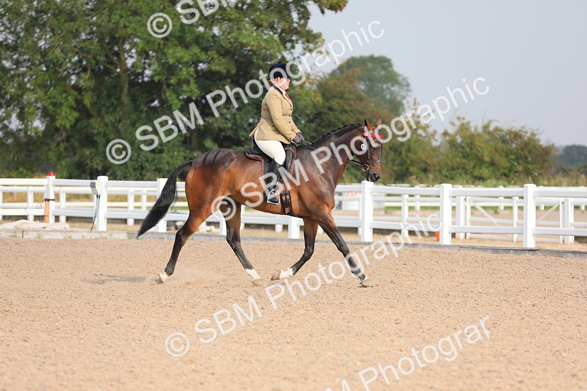 SBM_10663 - Class 303 Ridden Pure Bred Horse/Pony (excl M&M)