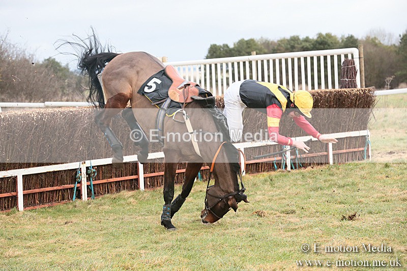 PtP 230119 58 - Royal Artillery Point-to-Point  - Larkhill  - 26/01/19