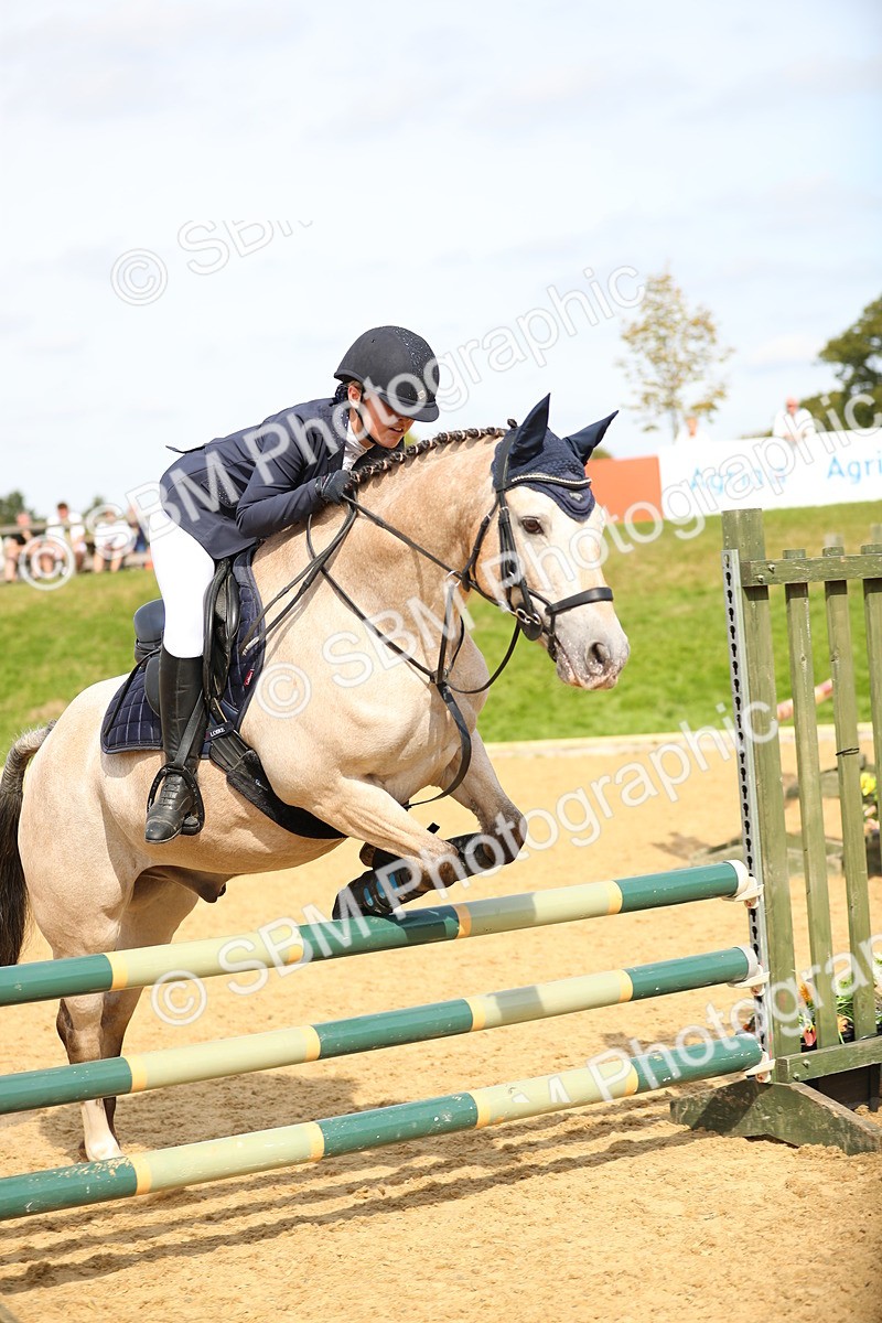 SBM_66123 - J17 - Junior Pony 80cm Championship