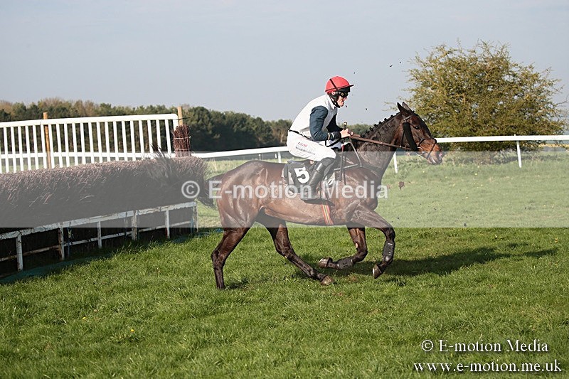 PtP 210418 618 - South & West Wilts Point-to-Point Larkhill 21/04/18