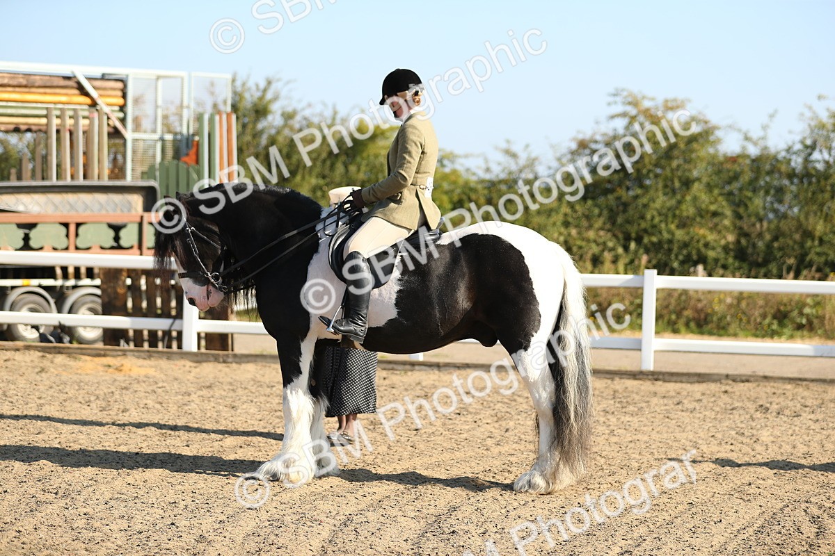 SBM_01165 - Class 42 Ridden Veteran