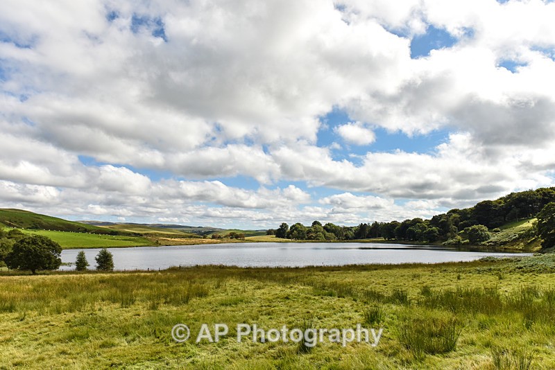Trisant Lakes-Glandwgan_ACP_6713 - Lakes