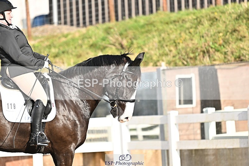 241214-125235-01745 - 119-Rosey.Bradburn-High.Spirits.II