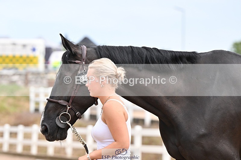 250716-144305-01330 - Trot Up 2.30 to 3.30