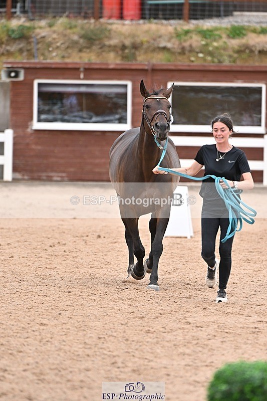 250716-140456-00891 - Trot Up 1.30 to 2.30