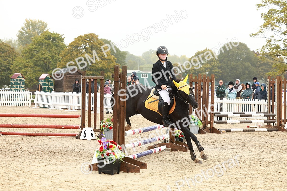SBM_73322 - Supreme Championship Junior Pony 60cm & 65cm