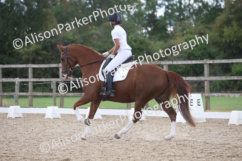 20260923-0481 - Class 7 - Novice 2