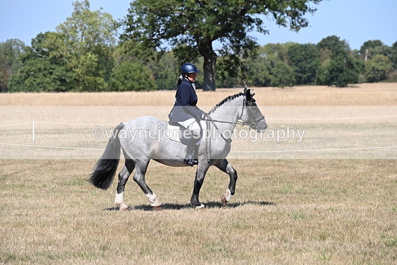 WJ6_8780 - Class 38 Ridden Riding Horse/Pony