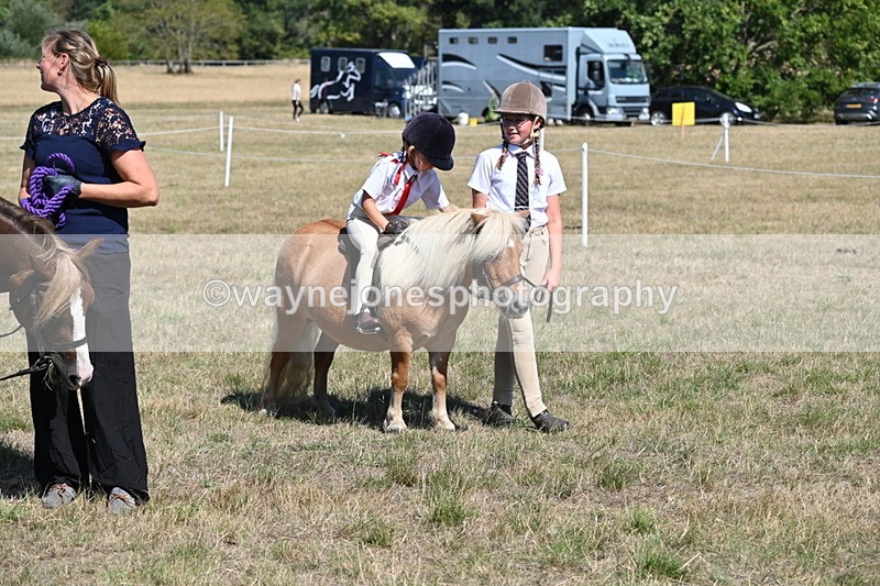 WJ6_9325 - Class 40 Cheekiest Pony/Horse