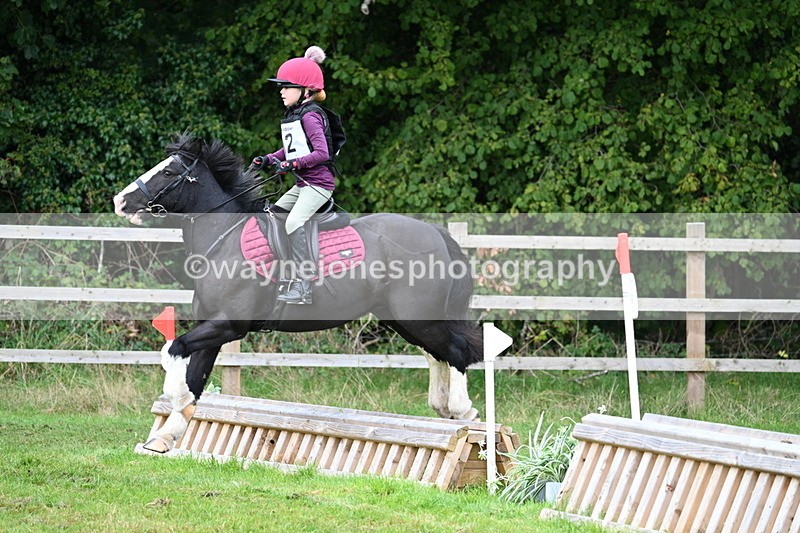 WJ7_7298 - 40cm Time 10:06 to 10:24