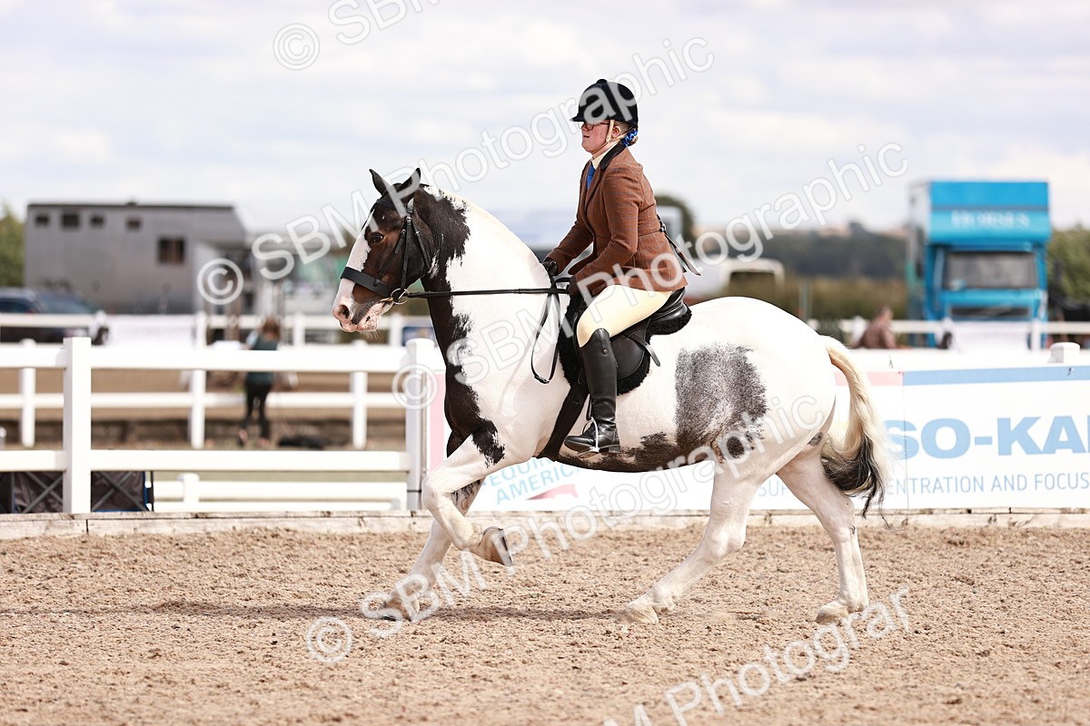 SBM_14479 - Class 410 - Grassroots Ridden - Horse