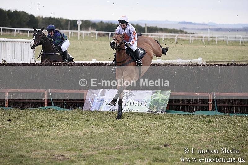 PtP 180218 143 - Combined Services Point-to-Point Larkhill 18/02/18