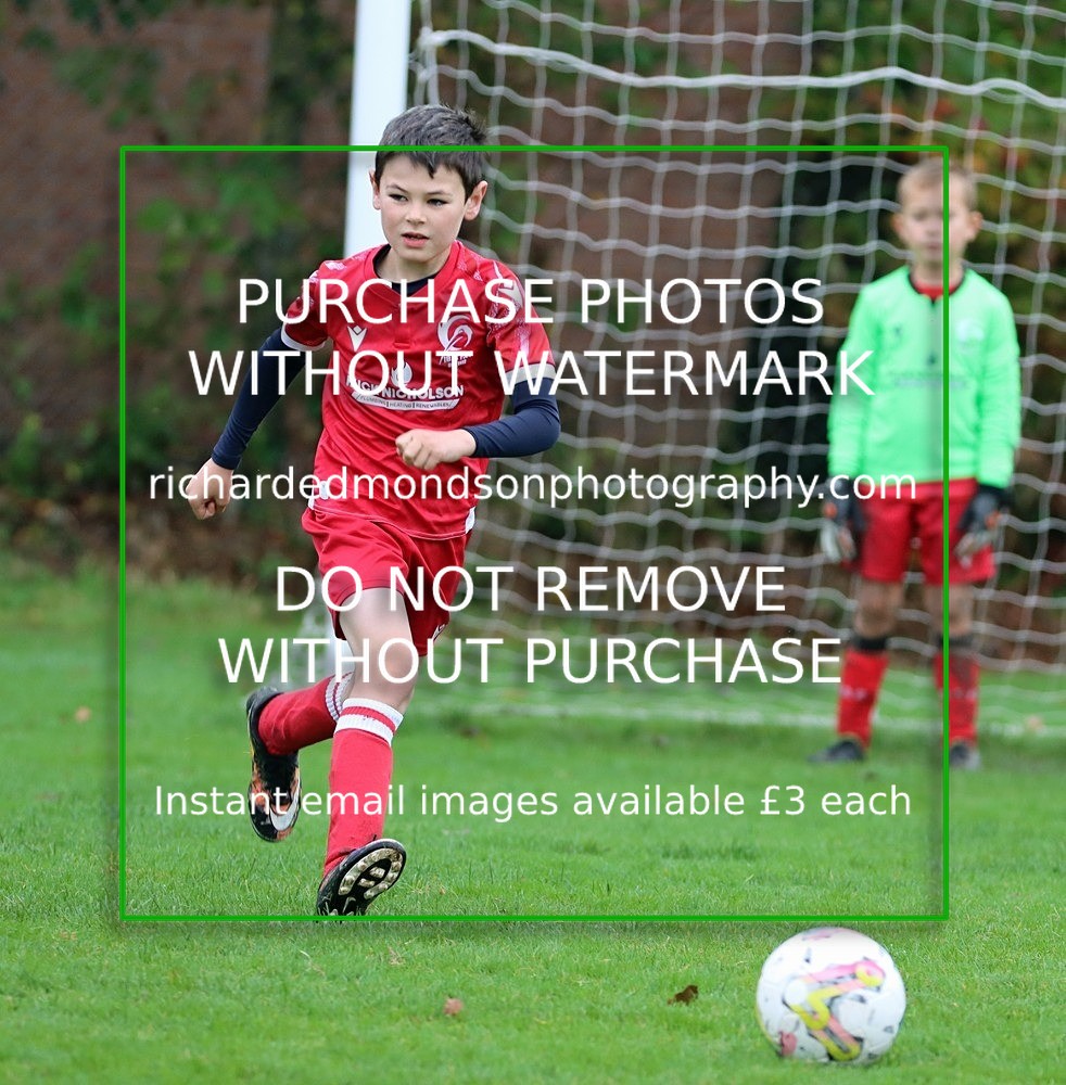 IMG_6983 - Ibis Under 8's (19/10/24)