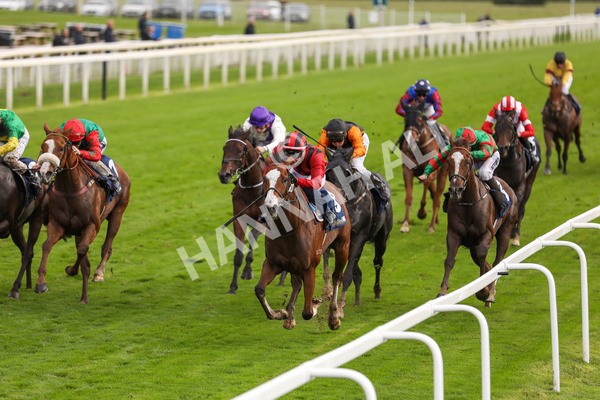 131023-Race 4-Hafeet Alain-9810 - Race 4 3.50pm William Hill Autumn Mile Handicap