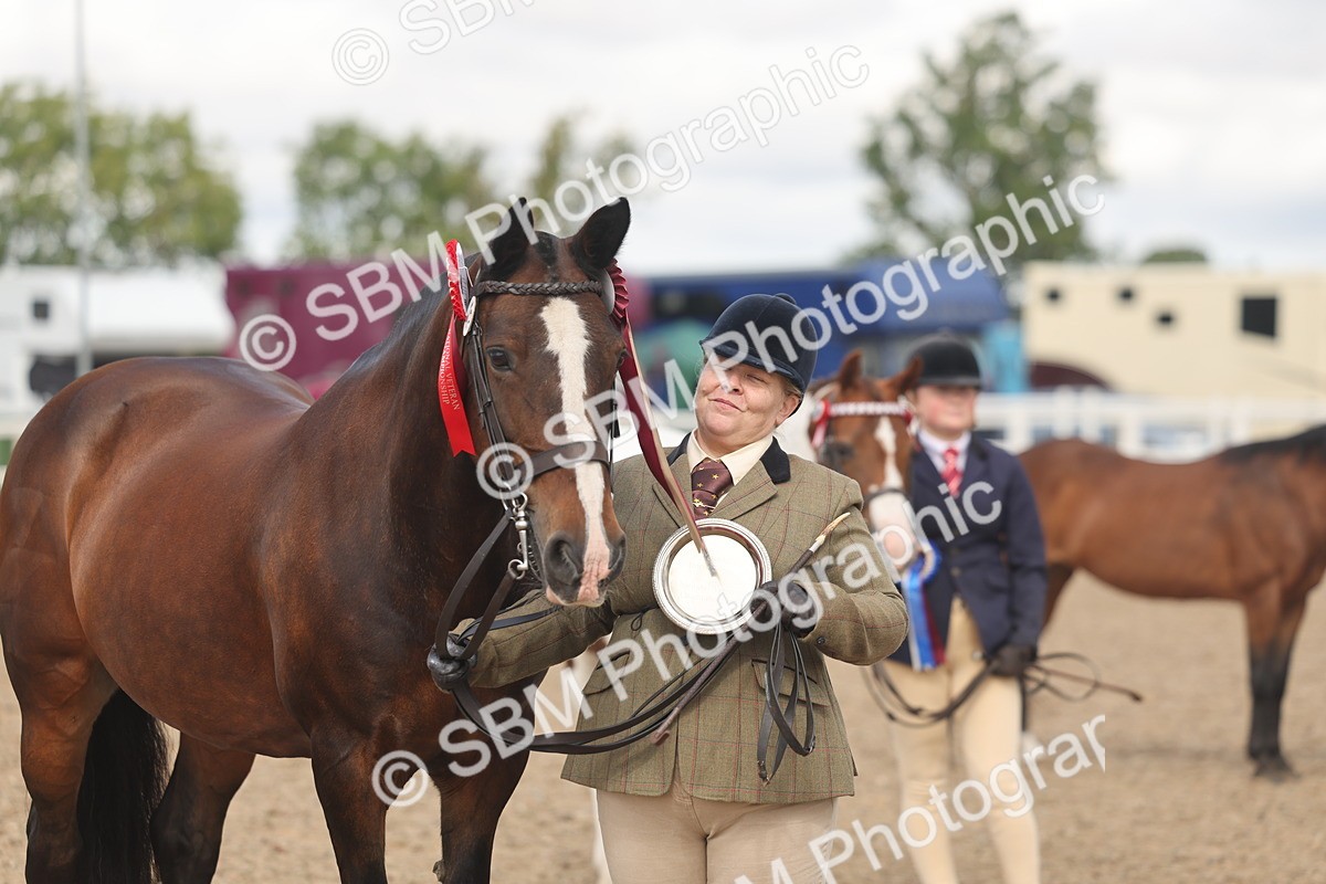 SBM_04379 - Class 17 - Prettiest Mare (IH or Ridden)