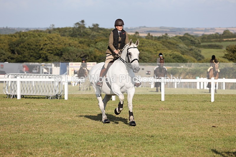 JPP_3342 - Class 22: Working Hunter 90cm